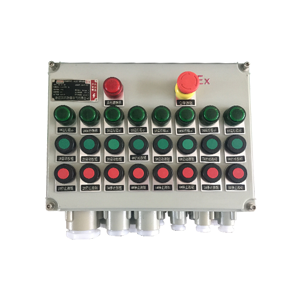 BXK粉尘防爆控制箱_2(IIB-IIC)